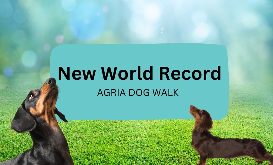 World Record Broken at Agria Dog Walk UK 2024!