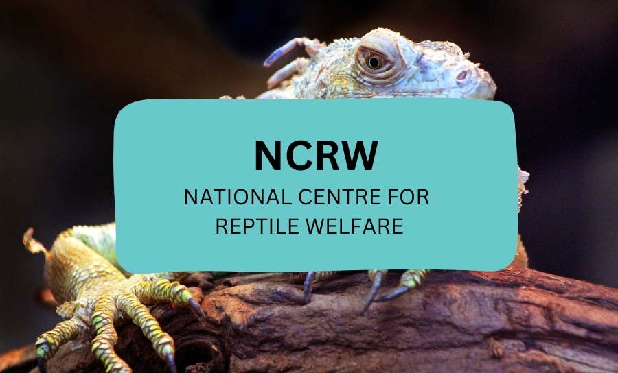 National Centre For Reptile Welfare